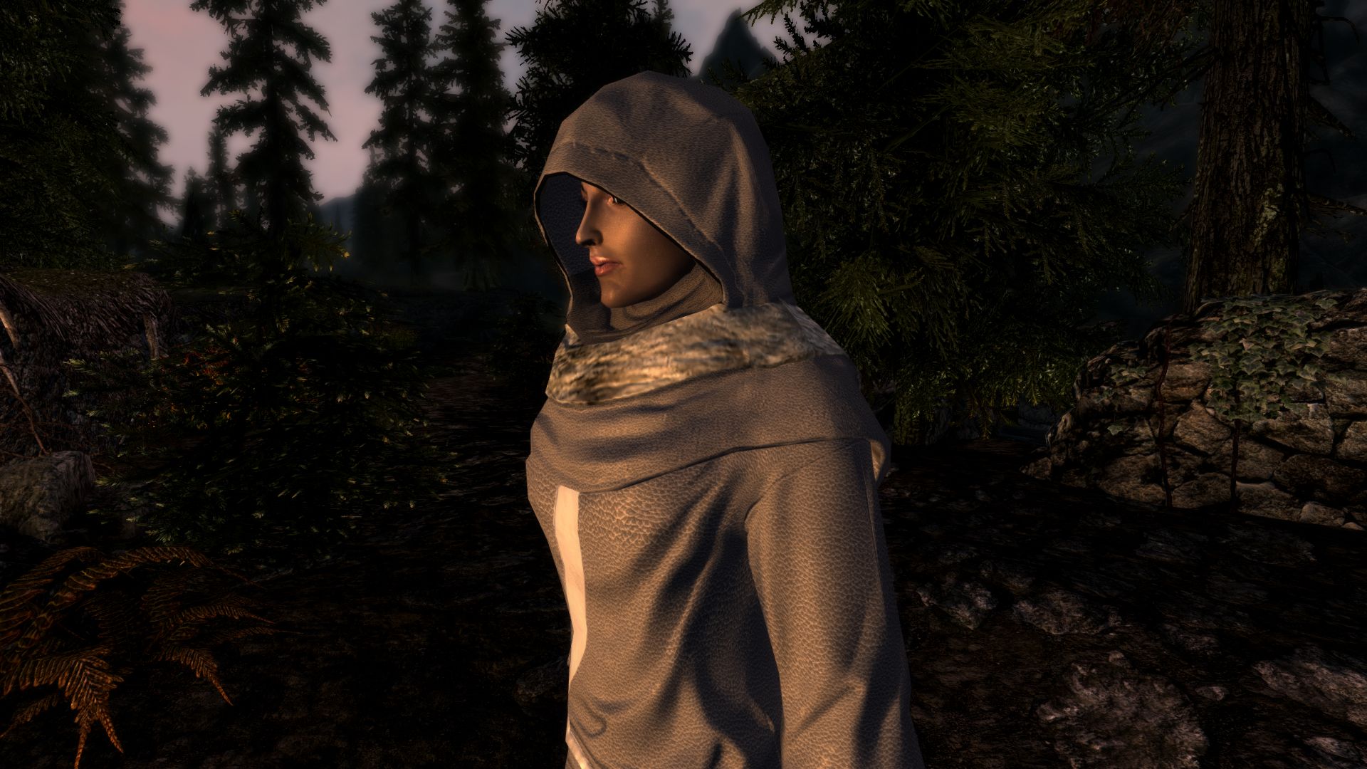 氷の魔術師ローブ Frost Mage Robe Skyrim 日記 Mod情報